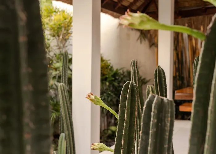 Arev, 4br Family-friendly In Umalas, Garden & Pool Kerobokan